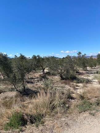 More details for Land for Sale