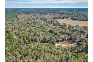 More details for 344 Roland Harvey Rd, Crawfordville, FL - Land for Sale