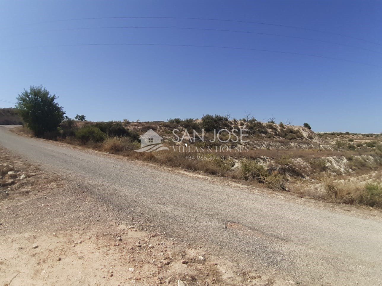 Land in Novelda, Alicante for sale Primary Photo- Image 1 of 12