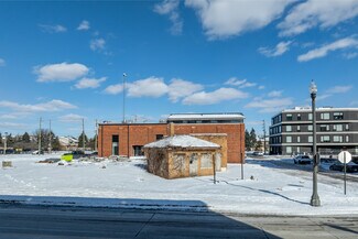 More details for 3100 Brush St, Detroit, MI - Light Industrial for Sale