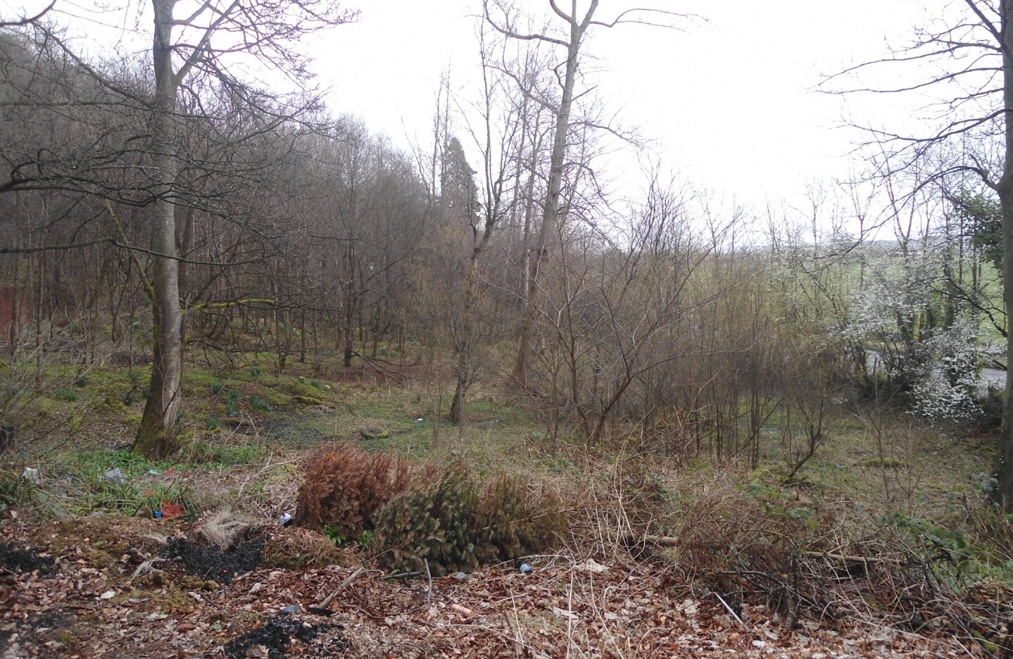 Hillfoots Rd, Blairlogie for sale Primary Photo- Image 1 of 1