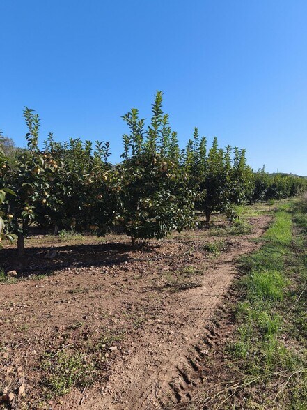 Land in València, Valencia for sale - Primary Photo - Image 1 of 6