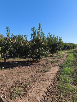 More details for Land for Sale