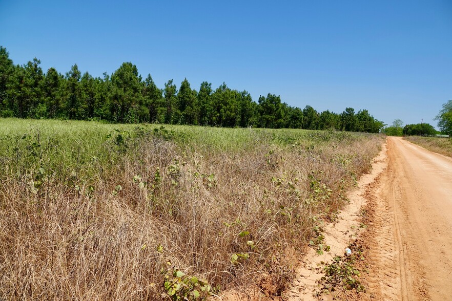 Merritt Rd, Malvern, AL for sale - Building Photo - Image 3 of 11