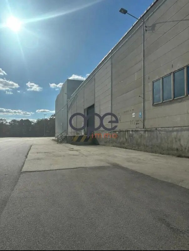 Vente Entrepôt 980 m²
