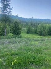 Haskill Mountain Ranch Phase 1, Kila, MT for sale Building Photo- Image 1 of 1