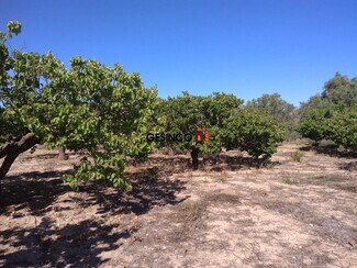 More details for Land for Sale