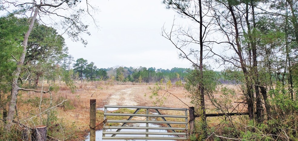 Highway 3226, Deridder, LA for sale - Primary Photo - Image 1 of 5