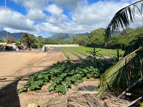 87-1205 Paakea Rd, Waianae, HI for sale Other- Image 1 of 1