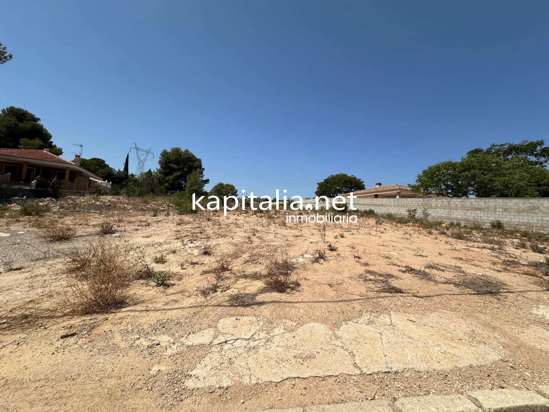 Land in Alberic, Valencia for sale Primary Photo- Image 1 of 4