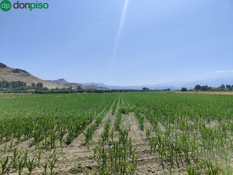 Carretera de Pinos Puente, Atarfe, Granada for sale - Building Photo - Image 3 of 9
