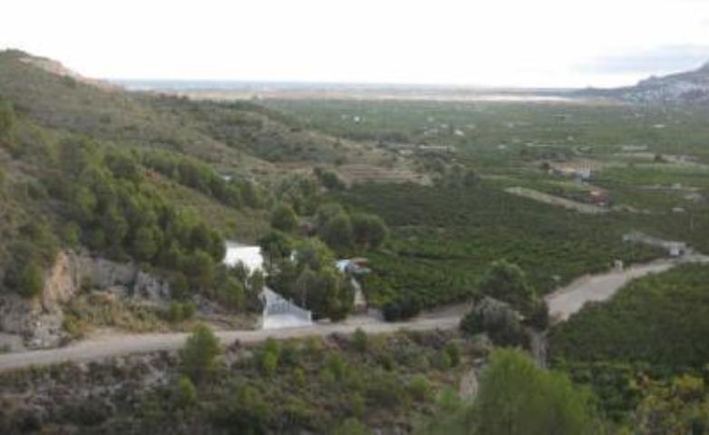 Partida Mostalla, Pego, Alicante for sale - Primary Photo - Image 3 of 8