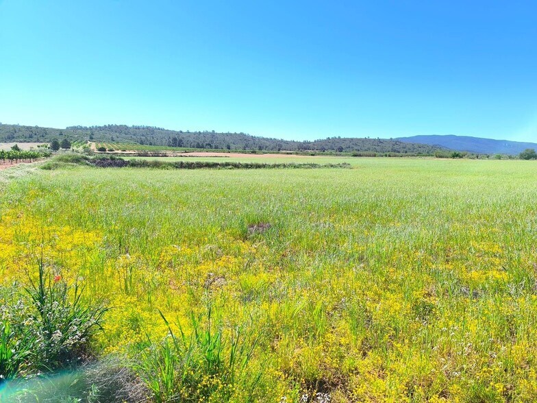 Land in Yecla, Murcia for sale - Aerial - Image 2 of 5