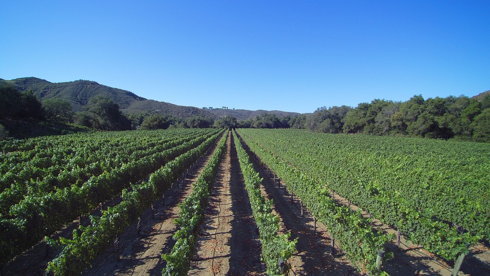 40550 De Luz Murrieta Rd, Fallbrook, CA for sale - Building Photo - Image 1 of 1