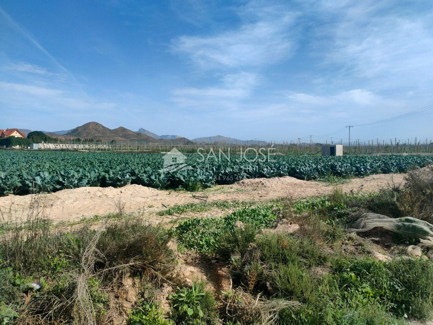 Land in Monforte del Cid, Alicante for sale Primary Photo- Image 1 of 7