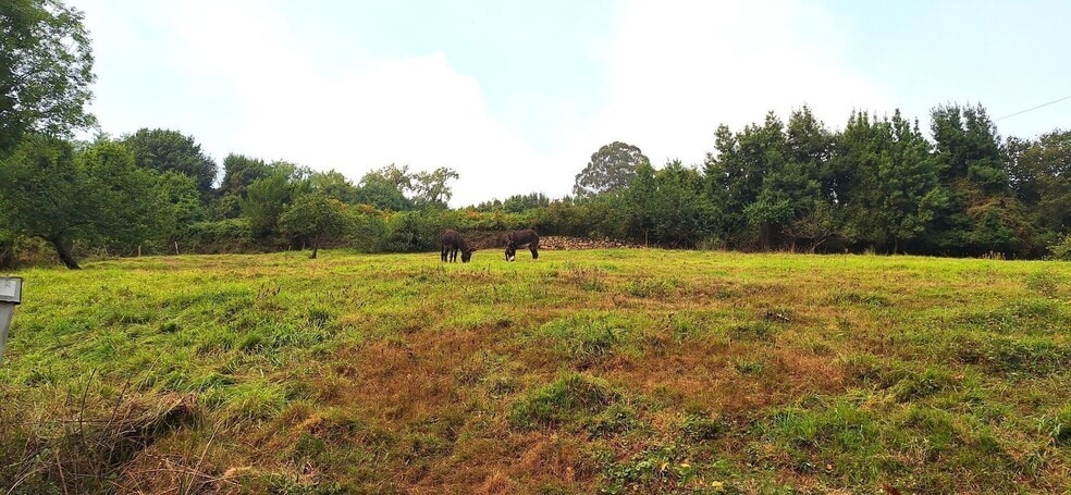 Camino del Molino, S/N, Gijón, Asturias for sale - Building Photo - Image 3 of 34