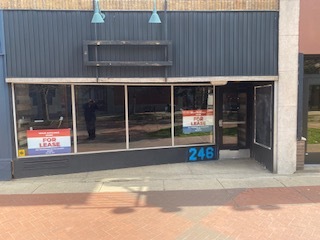 246 N Kalamazoo Mall, Kalamazoo, MI for rent - Building Photo - Image 2 of 15