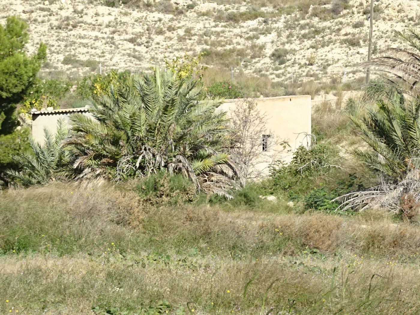Land in Aspe, Alicante for sale Primary Photo- Image 1 of 6