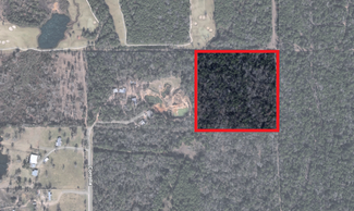 More details for 3440 Corolla Rd, Magnolia, TX - Land for Sale