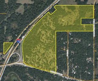 More details for 146 Acres I-75 Interchange Land, Bushnell, FL - Land for Sale