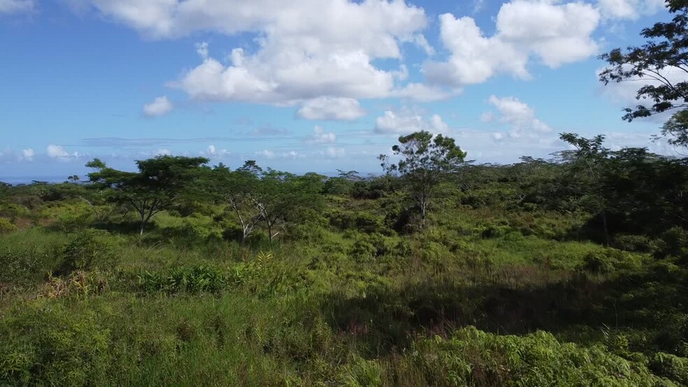 Puainako Street Extension Below South Wilder Road, Hilo, HI for sale - Commercial Listing Video - Image 2 of 6