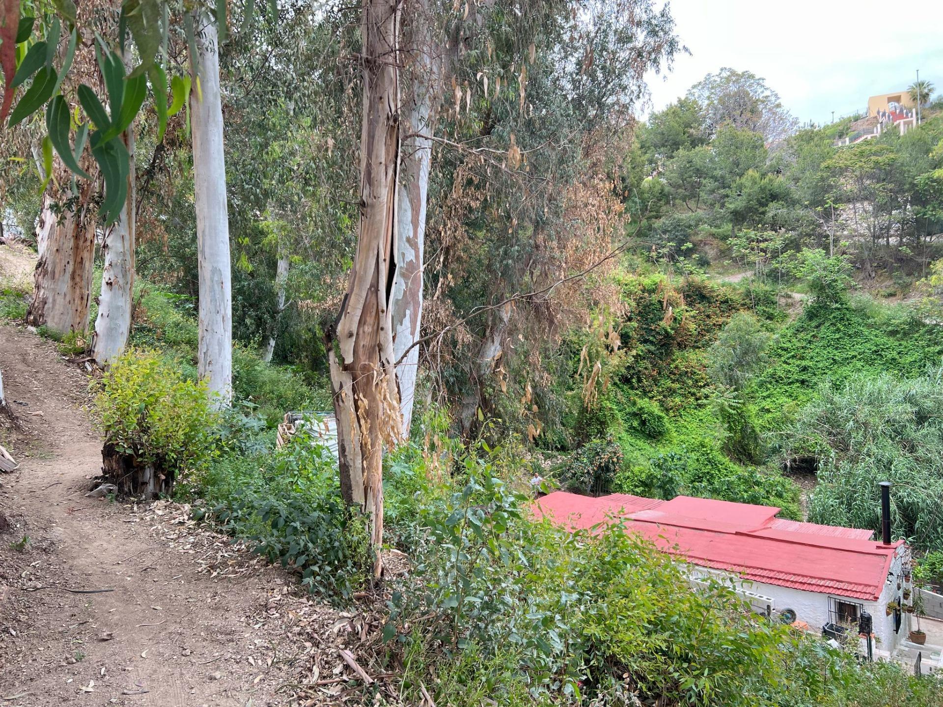 Land in Málaga for sale Building Photo- Image 1 of 21