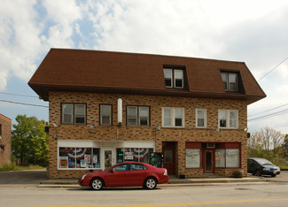 More details for 55 S Leavitt Rd, Leavittsburg, OH - Retail for Sale