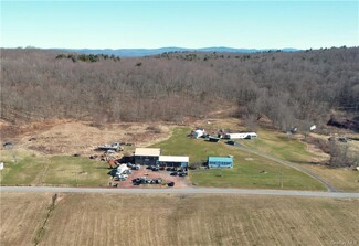 More details for 79-83 Elk Point Rd, Livingston Manor, NY - Speciality for Sale