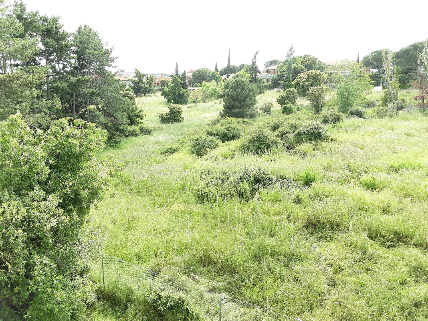 Land in Galapagar, Madrid for sale Floor Plan- Image 1 of 7