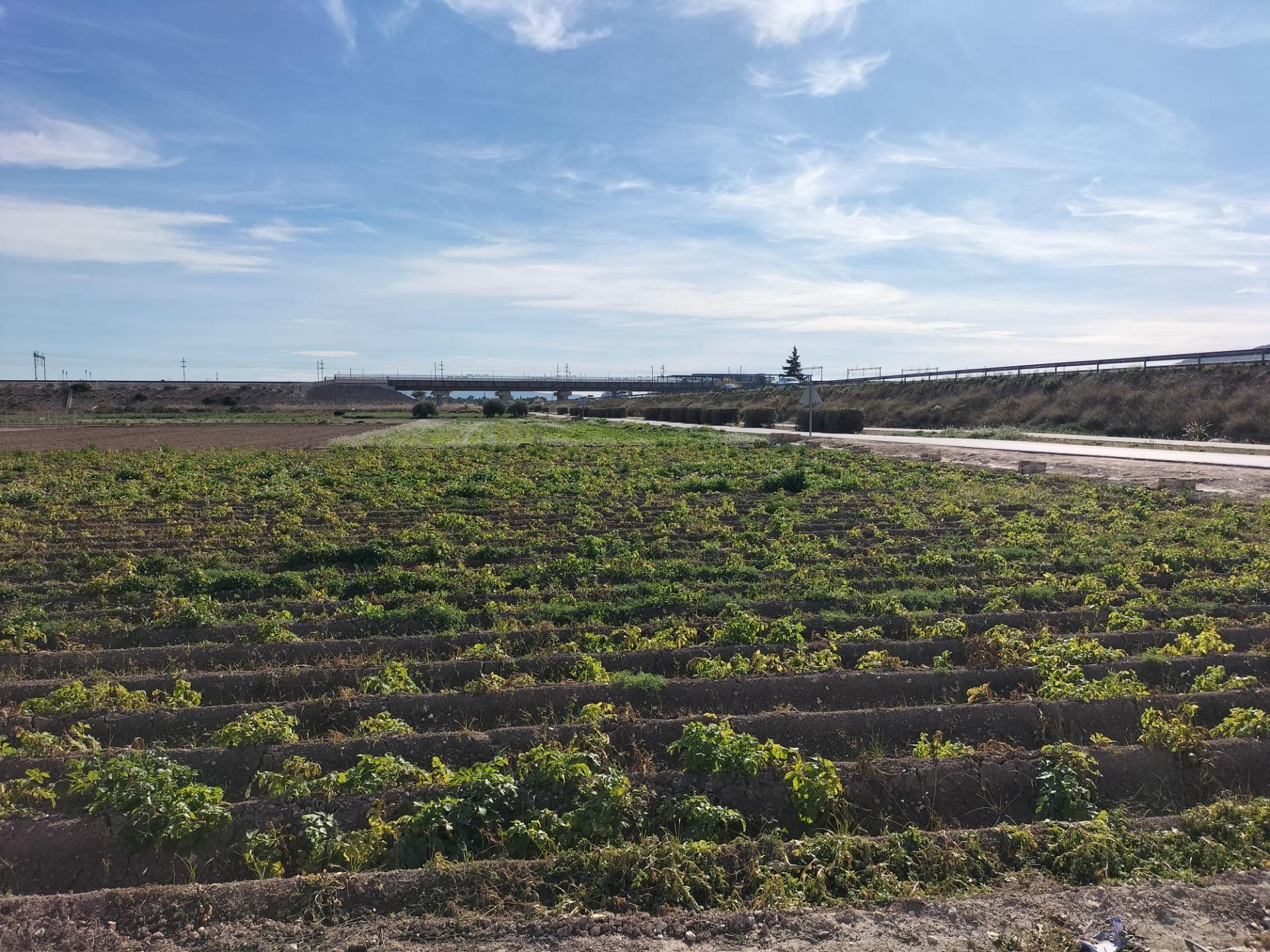 Land in Cox, Alicante for sale Aerial- Image 1 of 5