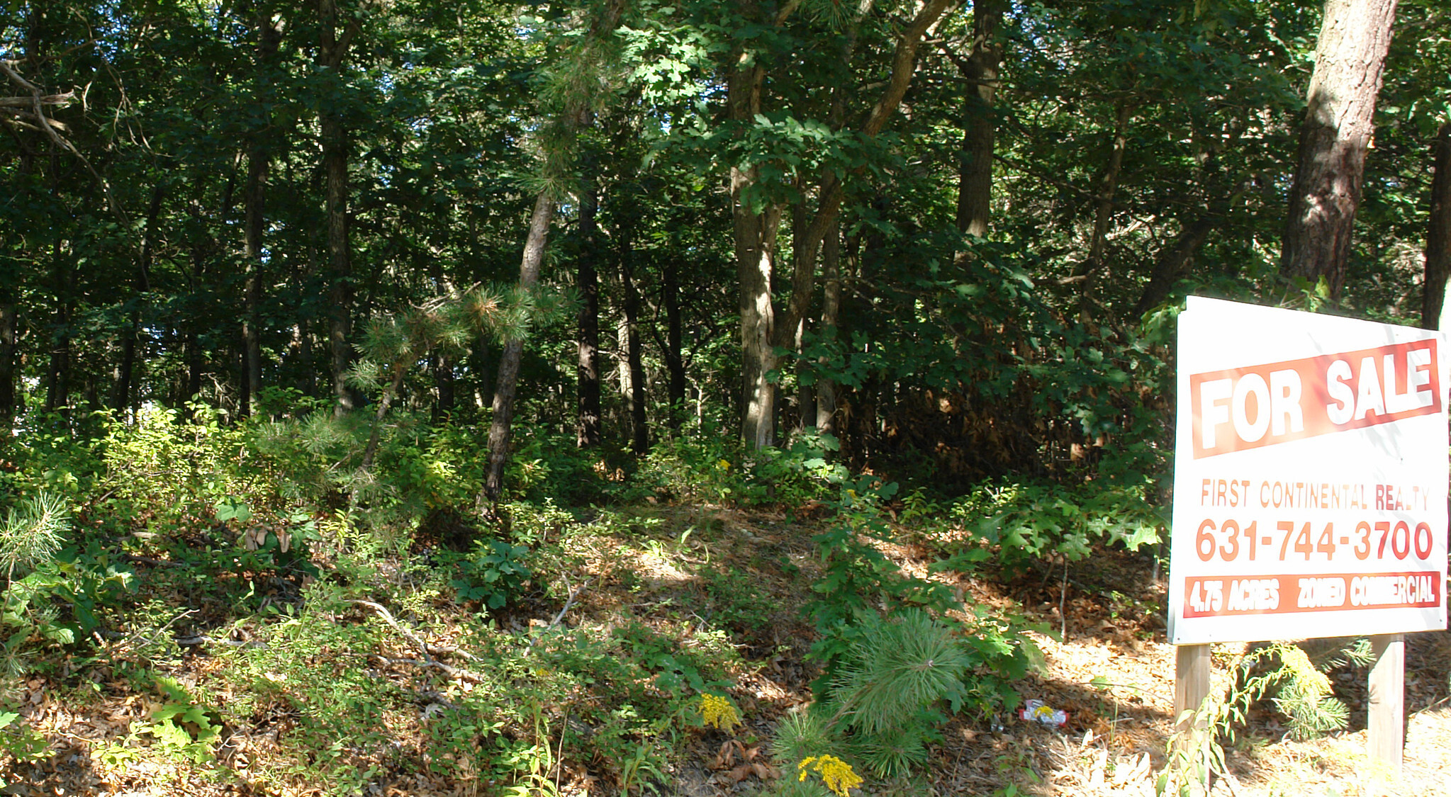 Horseblock Rd, Farmingville, NY for sale Primary Photo- Image 1 of 1