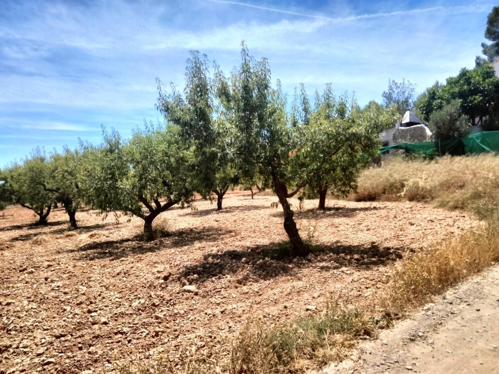 Land in Cehegín for sale Building Photo- Image 1 of 8
