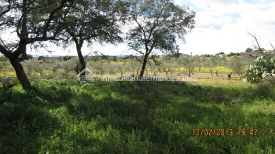 Land in Cáceres, Cáceres for sale Primary Photo- Image 1 of 12