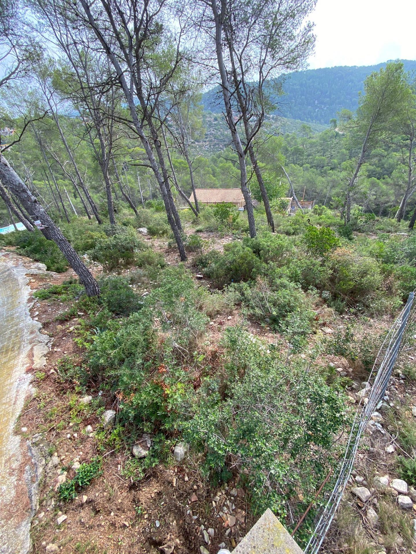 Land in Olivella, Barcelona for sale Building Photo- Image 1 of 6