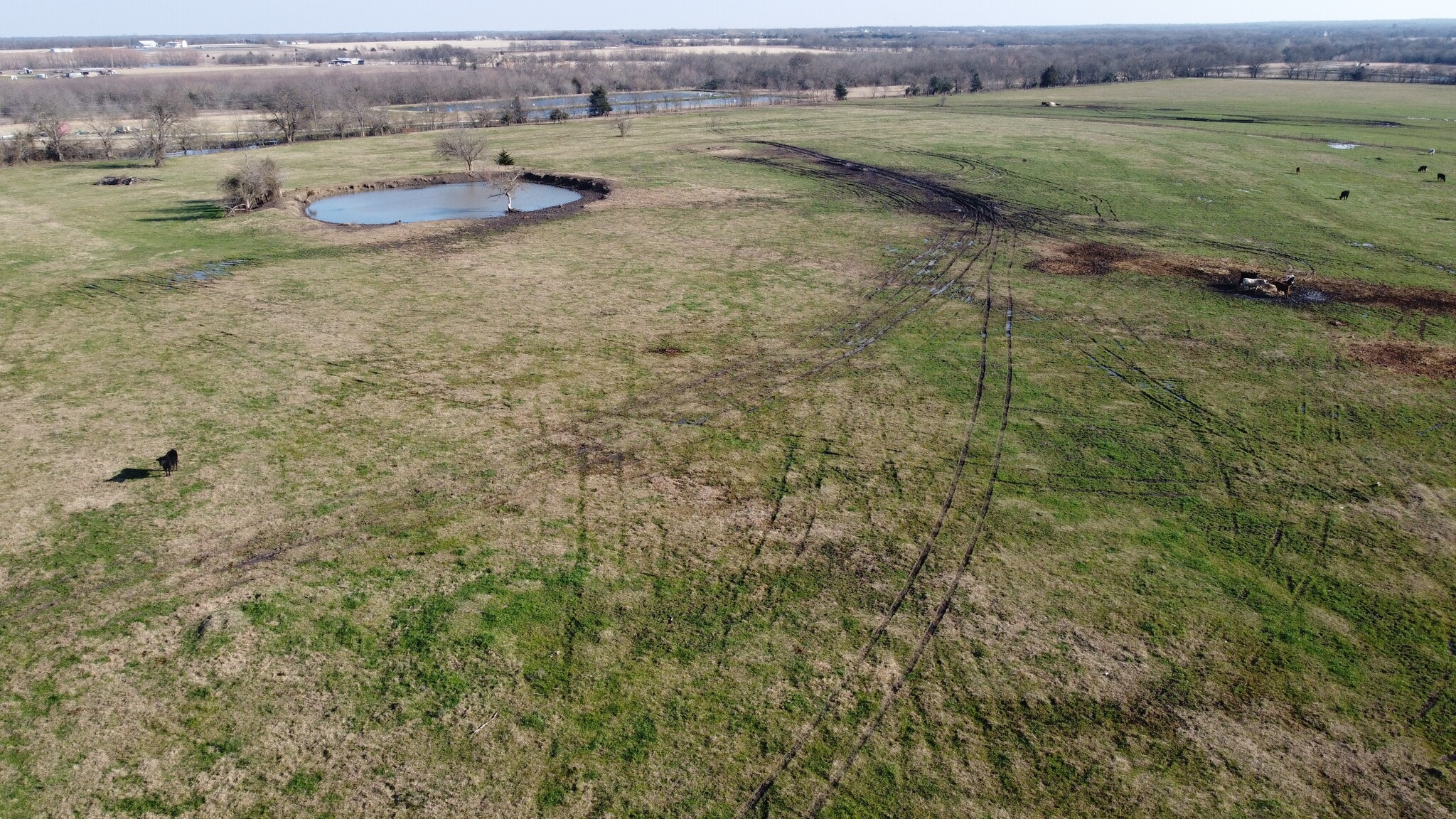 67 ac Deer Ln, Celeste, TX for sale Primary Photo- Image 1 of 1