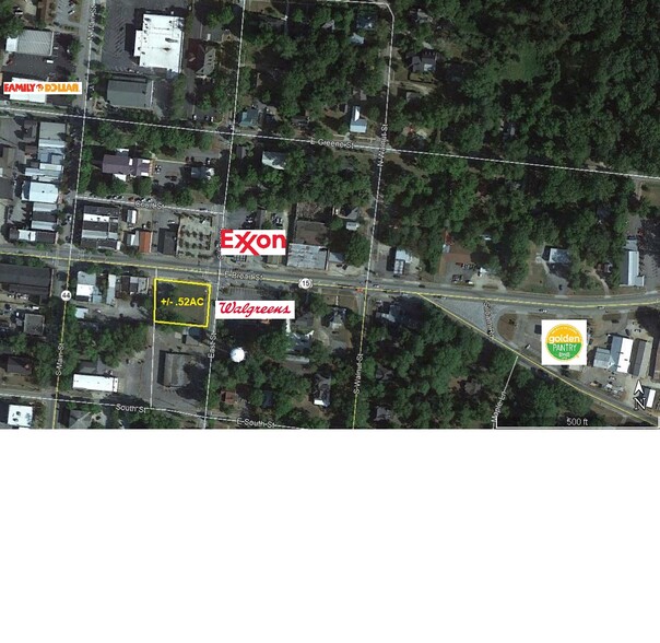 East And Broad St, Greensboro, GA for sale - Primary Photo - Image 1 of 1