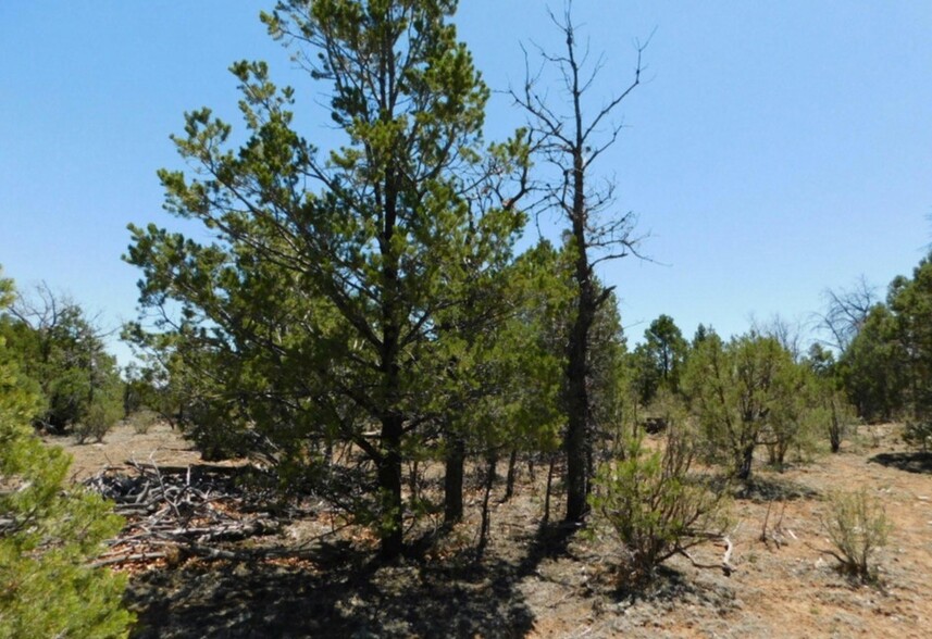 3517 Sunset Ridge Loop 163, Happy Jack, AZ for sale - Primary Photo - Image 1 of 9