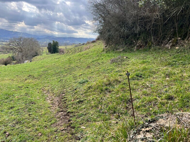 Alameda Cuenya, 25, Nava, Asturias for sale - Site Plan - Image 3 of 4