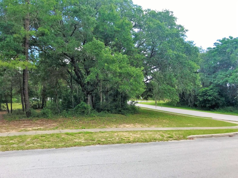 25035 County Road 42, Paisley, FL for sale - Building Photo - Image 3 of 14