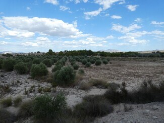 More details for Land for Sale