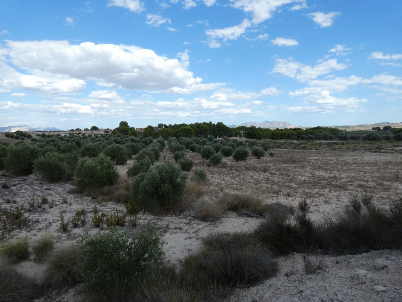 Land in Molina de Segura for sale Aerial- Image 1 of 13