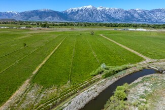 More details for 000 Pinenut rd, Gardnerville, NV - Land for Sale