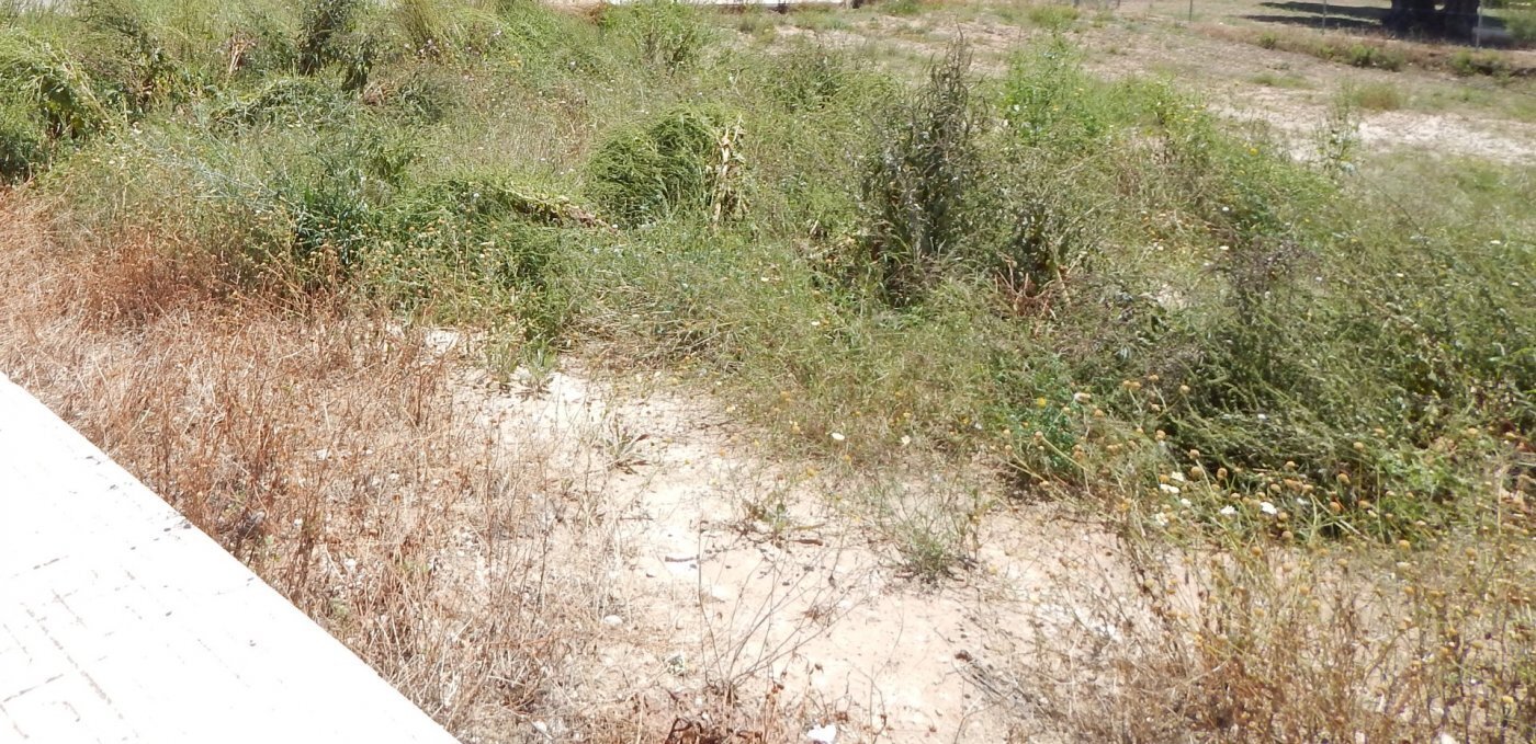 Land in València, Valencia for sale Site Plan- Image 1 of 4