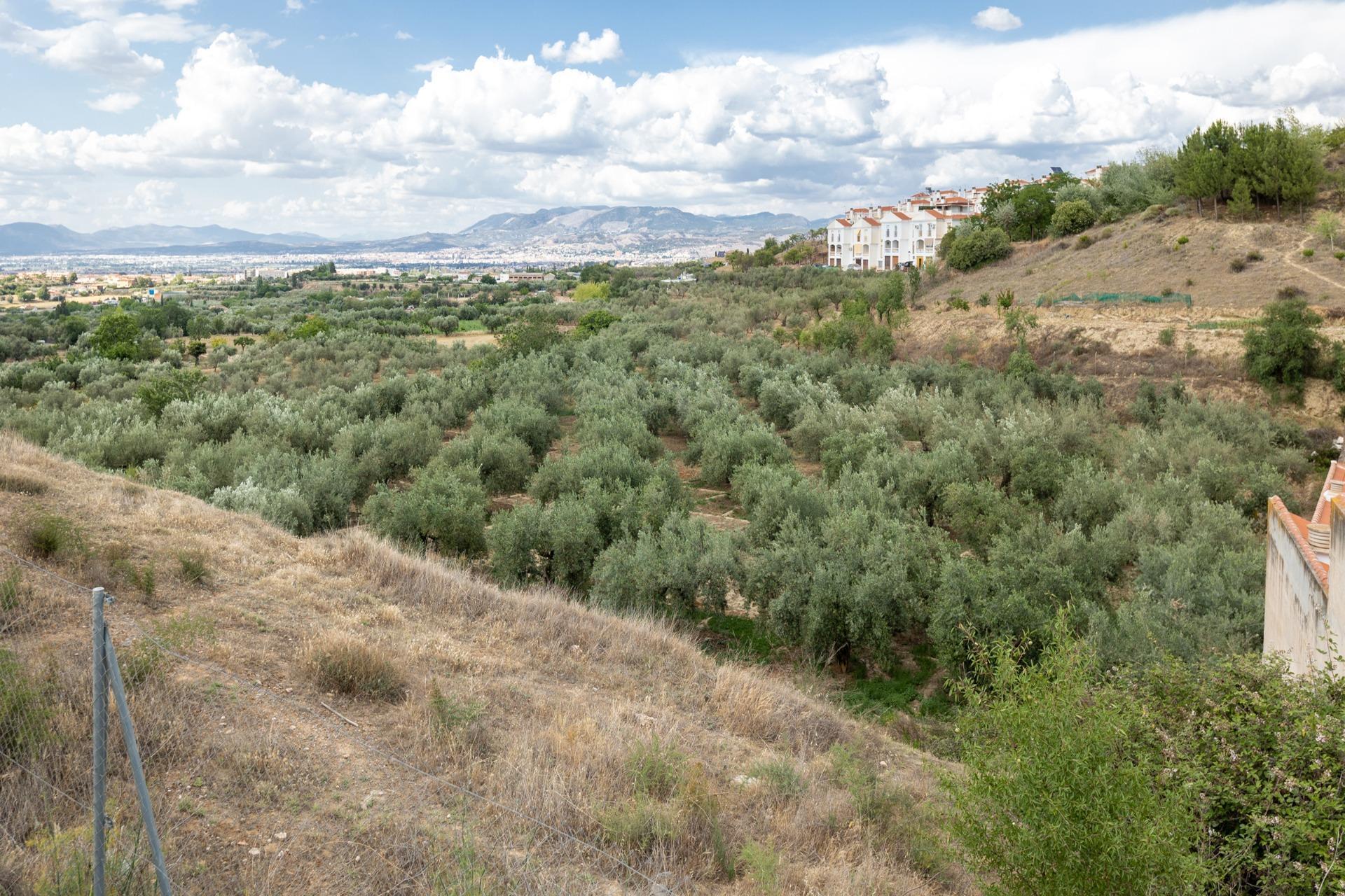 Pol, 1, Granada, Granada for sale Primary Photo- Image 1 of 22