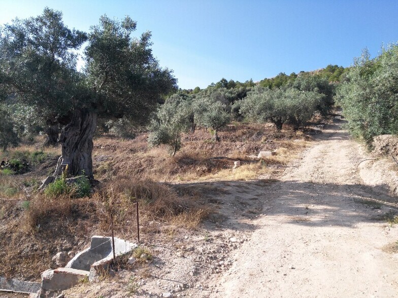 Land in Calasparra, Murcia for sale - Site Plan - Image 2 of 25