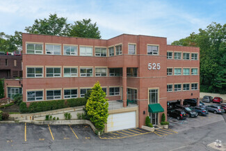 More details for 525 Northern Blvd, Great Neck, NY - Office for Rent