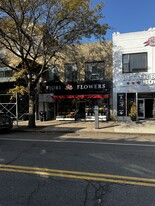 31-22 Steinway St, Astoria NY - Commercial Property