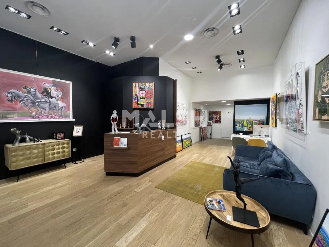 Retail in Lyon to rent Interior Photo- Image 1 of 5