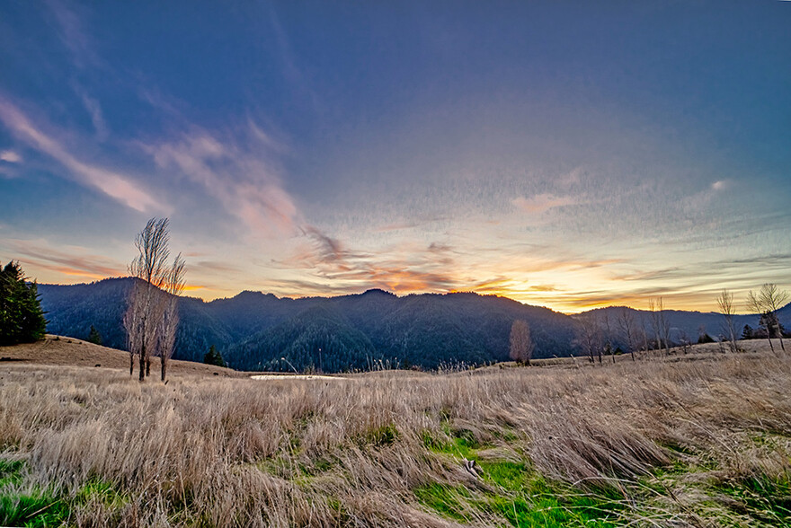 24748 Maple Creek Rd, Korbel, CA for sale - Primary Photo - Image 1 of 1