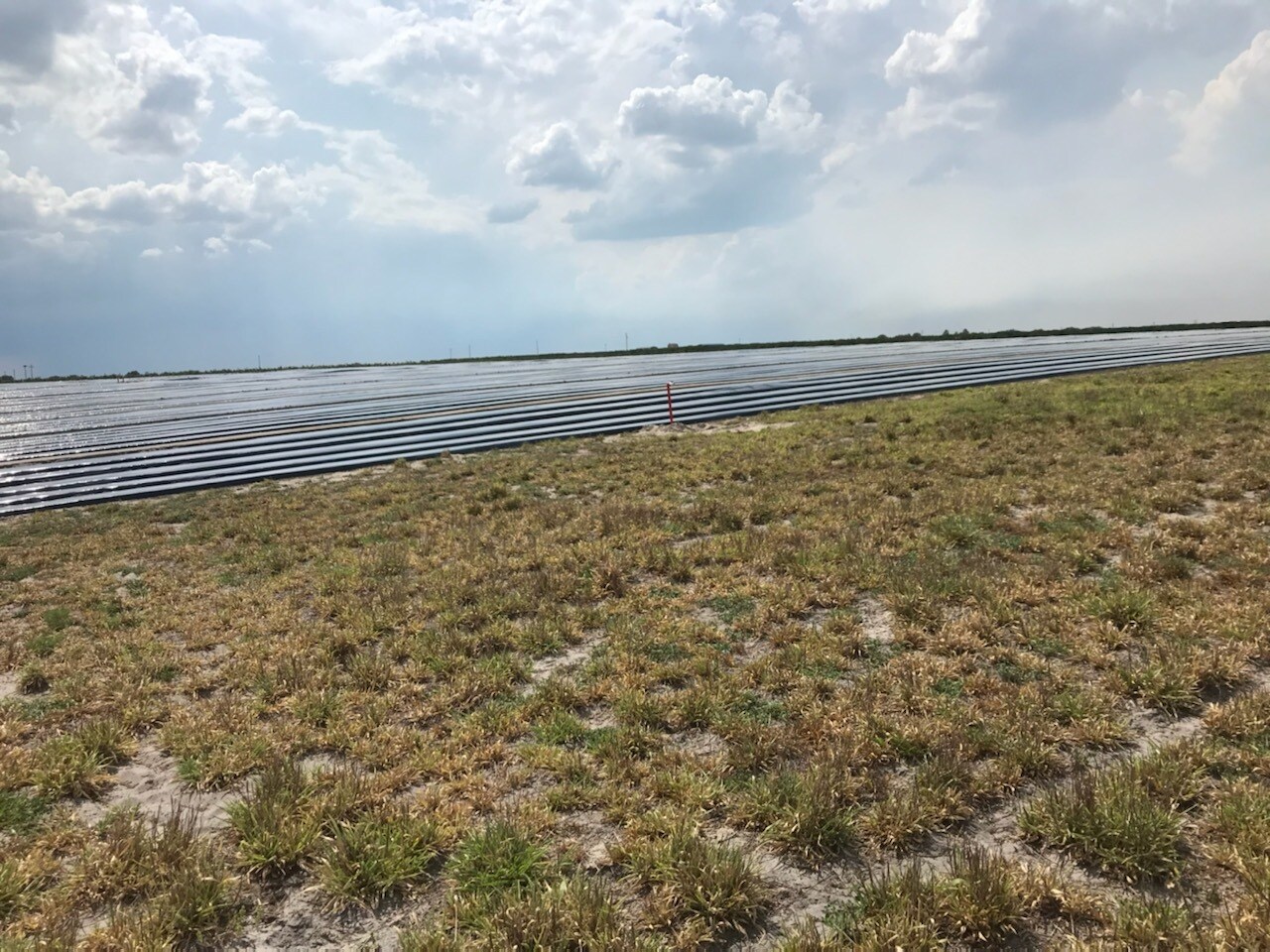 00 MARSHAL ROAD, Bartow, FL for sale Other- Image 1 of 1